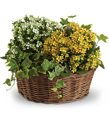 Basket of Joy In Waterford Michigan Jacobsen's Flowers